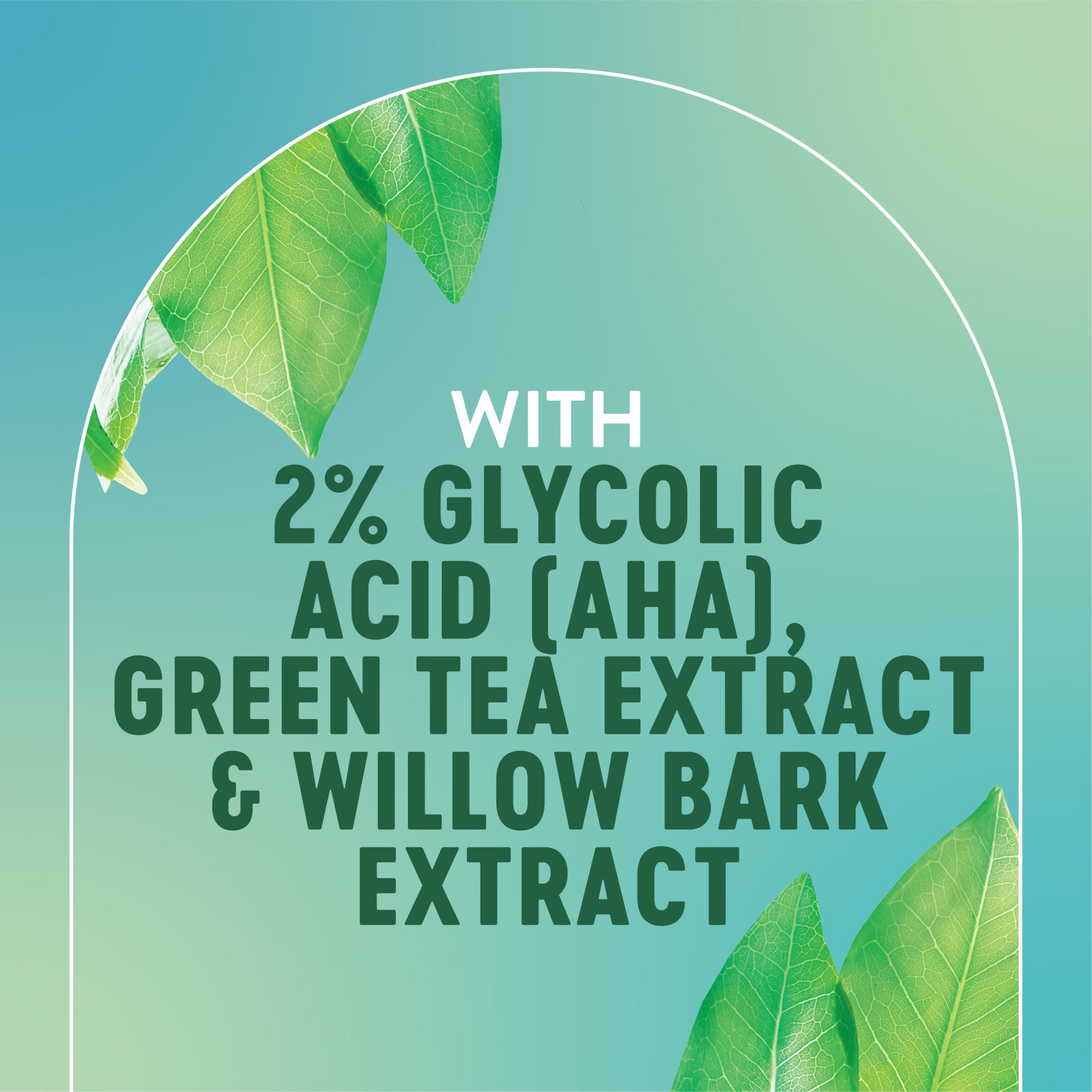 With 2% glycolic acid (AHA), green tea extract and willow bark extract.